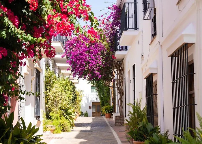 Jardines Del Mar 527