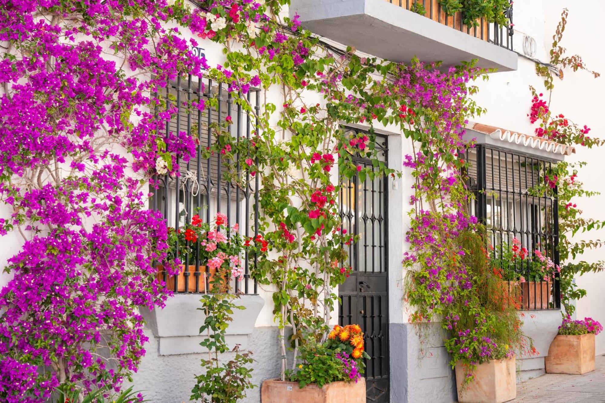 Jardines Del Mar 527 * Marbellac