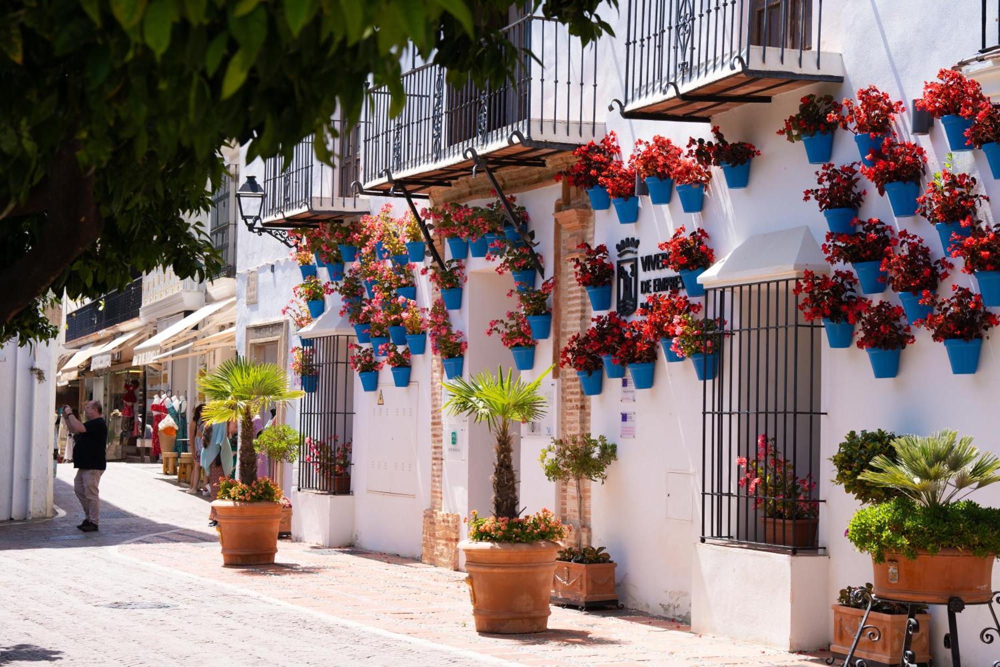 Appartamento Jardines Del Mar 527